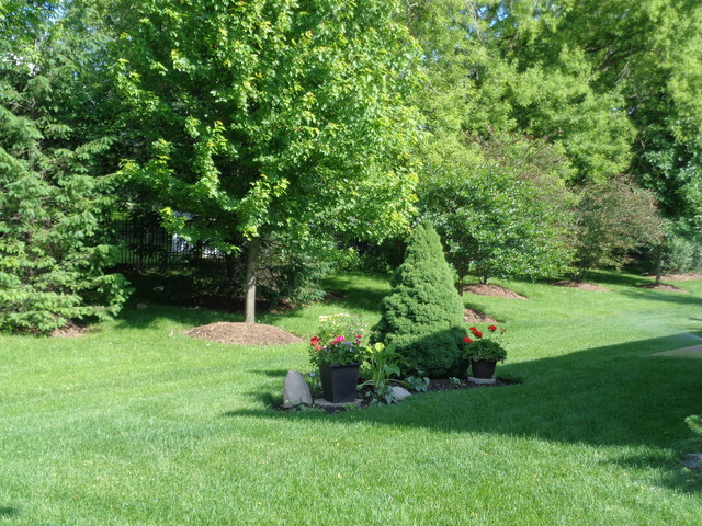 719 Tahoe Trl, Elgin, IL 60124 photo 3