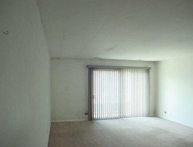 4614 Euclid Ave #2C, Rolling Meadows, IL 60008 photo 3