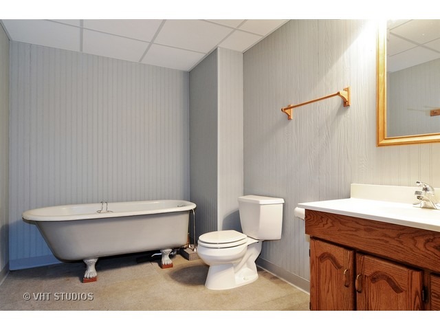 24452 W Davids Ct, Naperville, IL 60564 photo 21