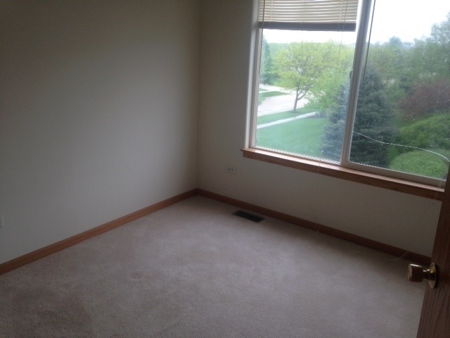 2714 Canyon Dr, Plainfield, IL 60586 photo 5