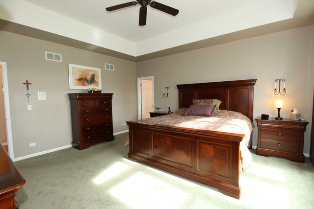 6715 Burning Tree Cir, Mchenry, IL 60050 photo 12