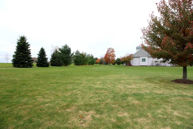 6715 Burning Tree Cir, Mchenry, IL 60050 photo 21
