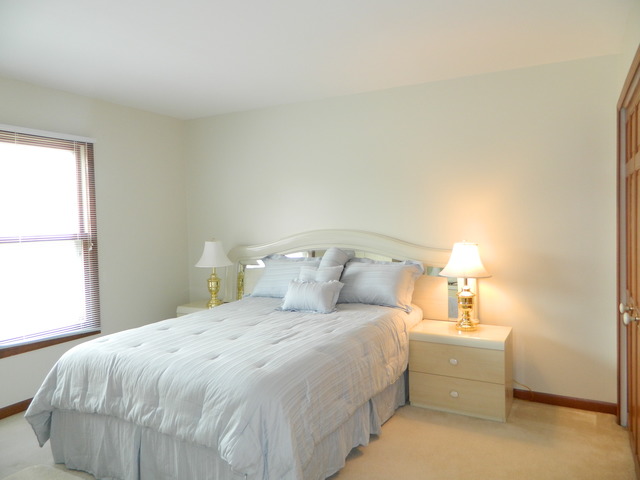 790 Harmon Blvd, Hoffman Estates, IL 60169 photo 17
