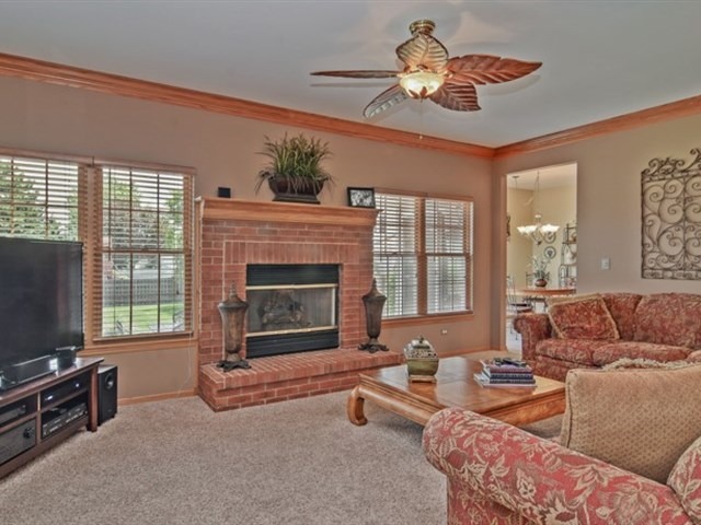 13512 Golden Eagle Cir, Plainfield, IL 60544 photo 6