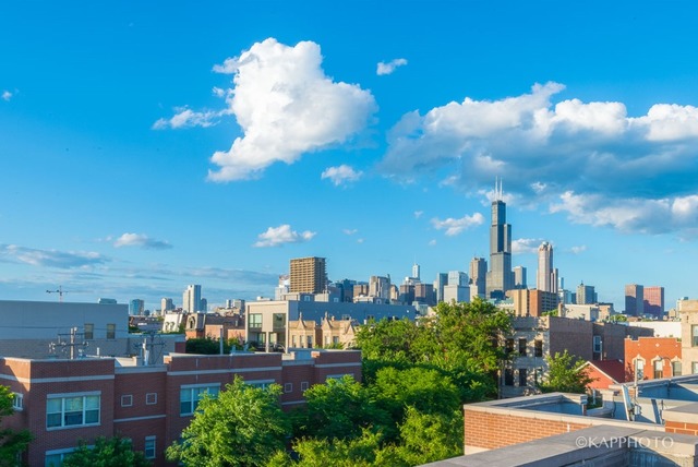 1215 W Grenshaw St, Chicago, IL 60607 photo 18