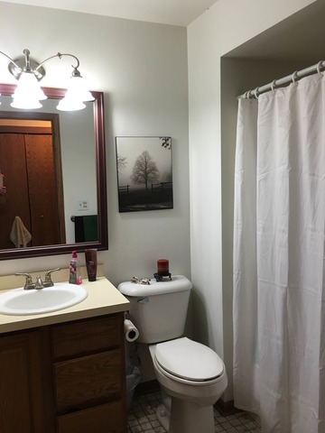 27930 S Yates Ave, Beecher, IL 60401 photo 8