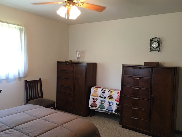 27930 S Yates Ave, Beecher, IL 60401 photo 7