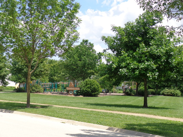 1346 Collins Dr, Cary, IL 60013 photo 4