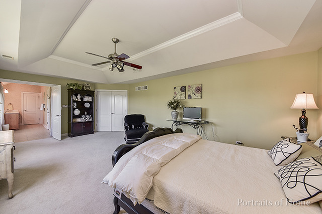 12717 Barrow Ln, Plainfield, IL 60585 photo 16