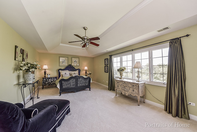 12717 Barrow Ln, Plainfield, IL 60585 photo 15