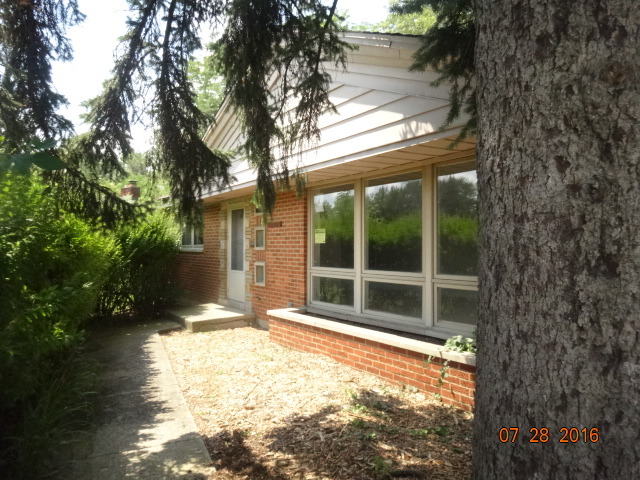 20306 Hellenic Dr, Olympia Fields, IL 60461 photo 1