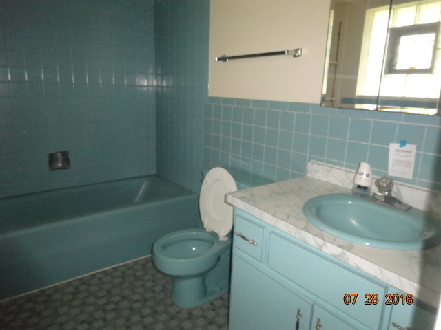 20306 Hellenic Dr, Olympia Fields, IL 60461 photo 12