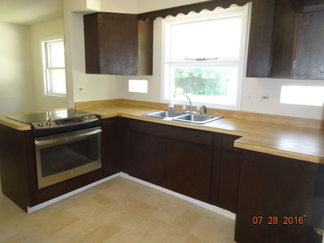 20306 Hellenic Dr, Olympia Fields, IL 60461 photo 5