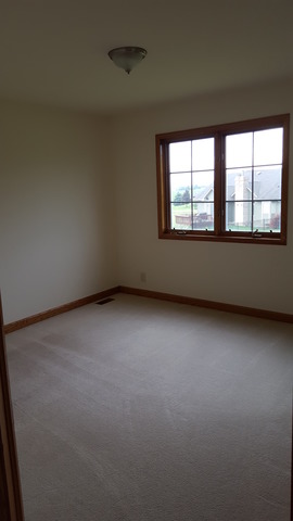 17912 Springbrook Cir, Union, IL 60180 photo 19