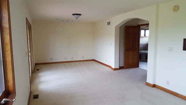 17912 Springbrook Cir, Union, IL 60180 photo 15