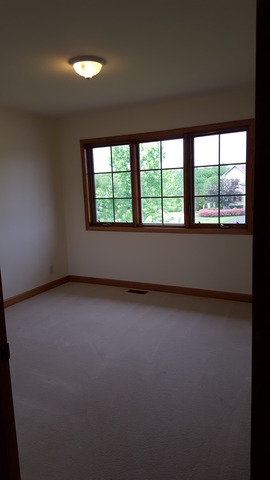 17912 Springbrook Cir, Union, IL 60180 photo 20