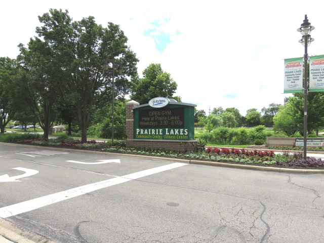 968 S 6th Ave, Des Plaines, IL 60016 photo 24