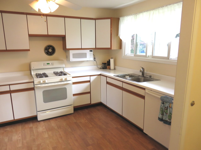 968 S 6th Ave, Des Plaines, IL 60016 photo 10