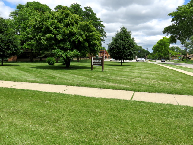 968 S 6th Ave, Des Plaines, IL 60016 photo 21
