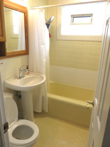 968 S 6th Ave, Des Plaines, IL 60016 photo 11