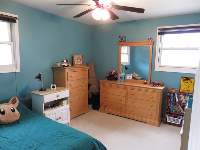 968 S 6th Ave, Des Plaines, IL 60016 photo 13