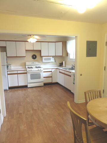 968 S 6th Ave, Des Plaines, IL 60016 photo 7