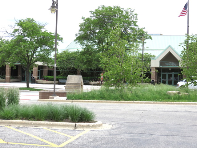 968 S 6th Ave, Des Plaines, IL 60016 photo 25