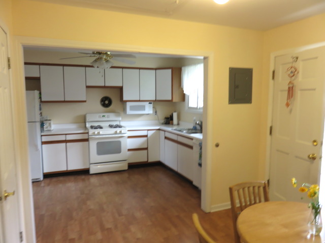 968 S 6th Ave, Des Plaines, IL 60016 photo 8