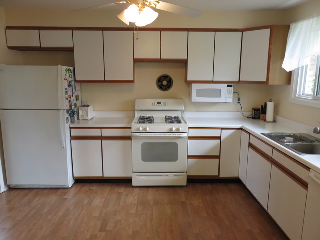 968 S 6th Ave, Des Plaines, IL 60016 photo 6