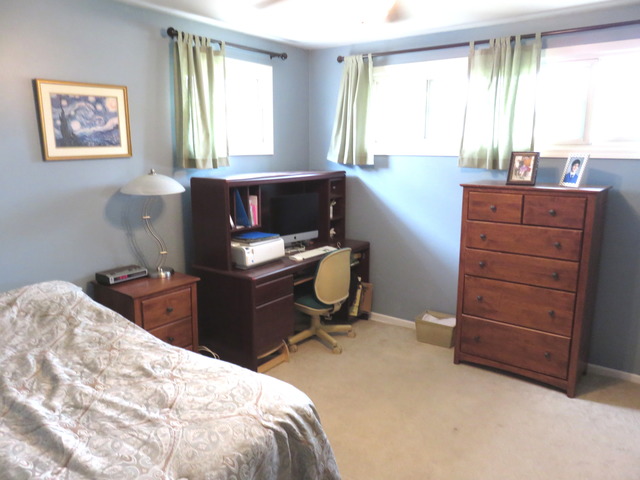 968 S 6th Ave, Des Plaines, IL 60016 photo 16