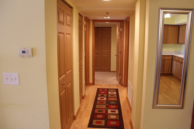 8030 Riverwalk Dr #3E, Lyons, IL 60534 photo 6