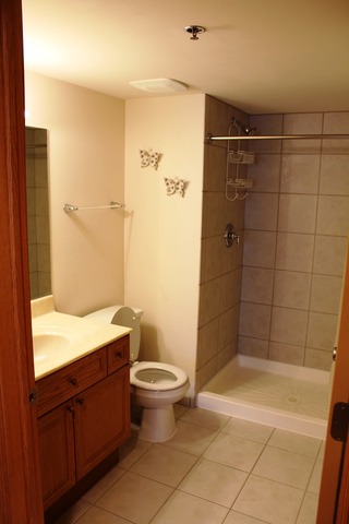 8030 Riverwalk Dr #3E, Lyons, IL 60534 photo 8