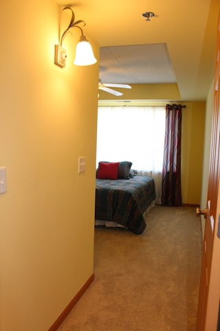 8030 Riverwalk Dr #3E, Lyons, IL 60534 photo 15
