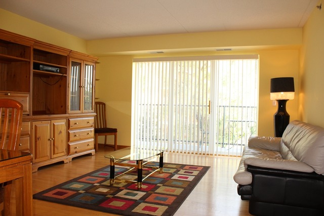8030 Riverwalk Dr #3E, Lyons, IL 60534 photo 4
