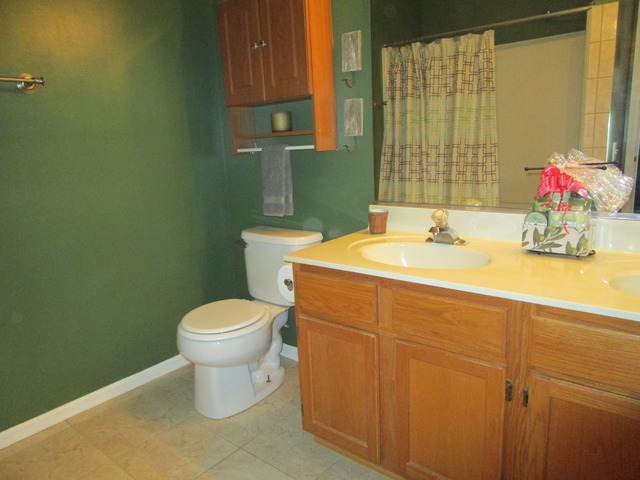 1268 Silk Oak Ln, Bartlett, IL 60103 photo 10