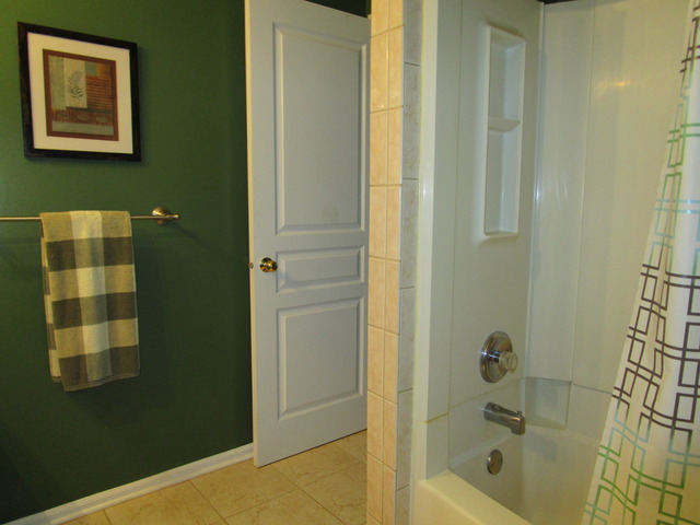 1268 Silk Oak Ln, Bartlett, IL 60103 photo 14