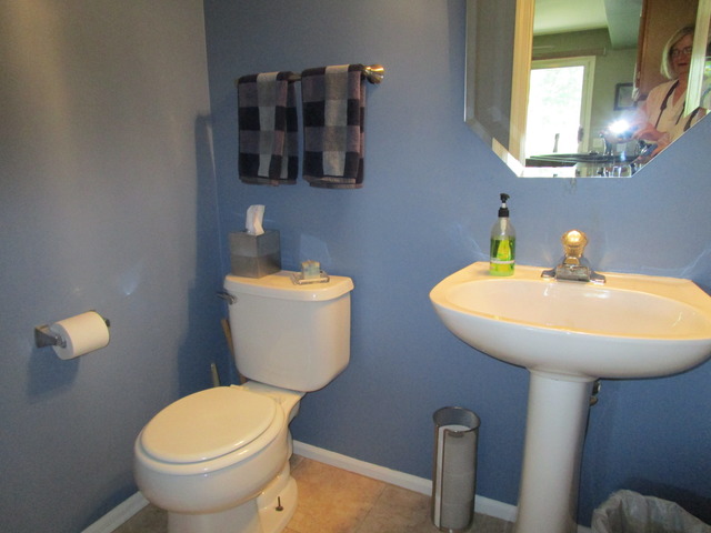 1268 Silk Oak Ln, Bartlett, IL 60103 photo 12