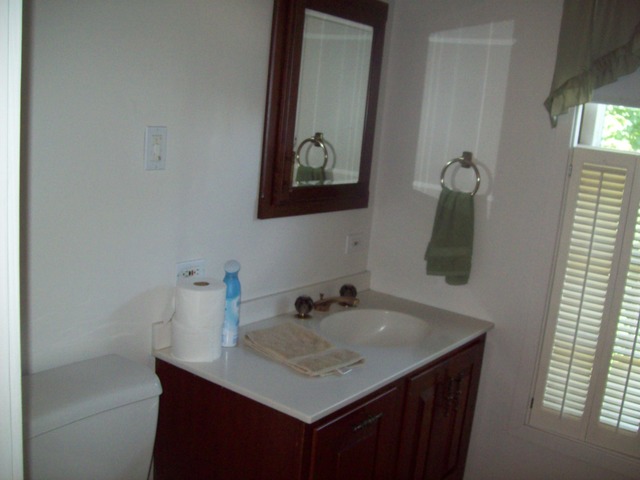 208 E Walnut St, Walnut, IL 61376 photo 14