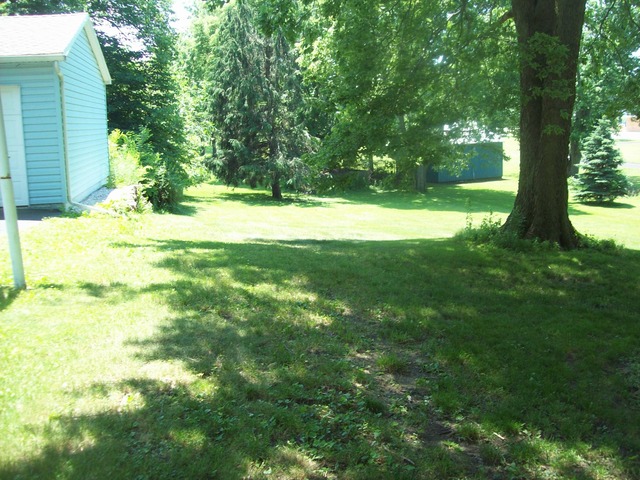208 E Walnut St, Walnut, IL 61376 photo 3