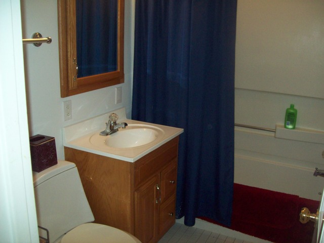 208 E Walnut St, Walnut, IL 61376 photo 20