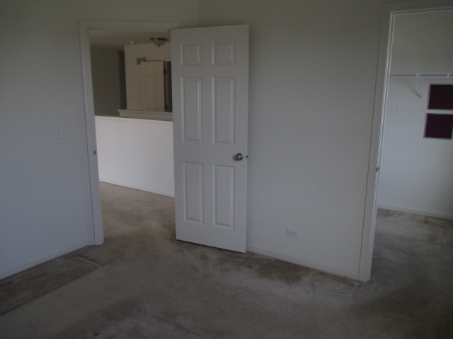 913 Avalon Way, Minooka, IL 60447 photo 13