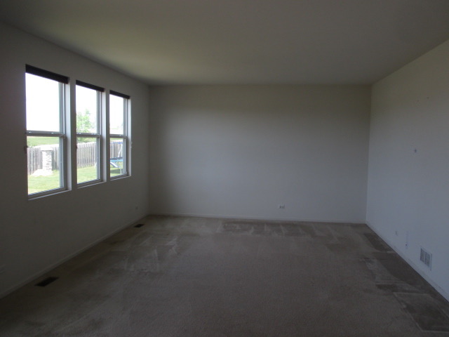 913 Avalon Way, Minooka, IL 60447 photo 4