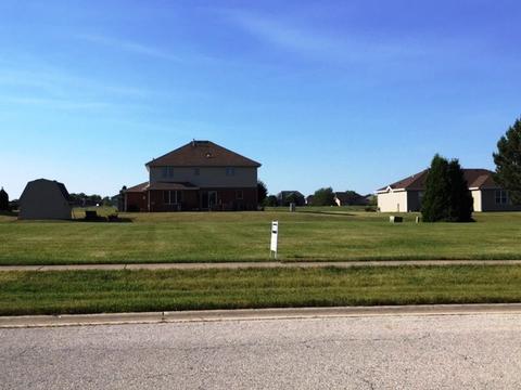 335 Orchard Ln, Beecher, IL 60401 photo 1