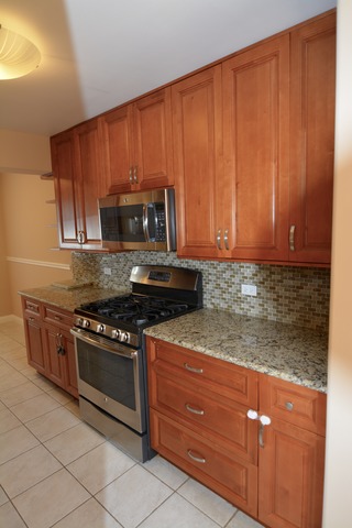 427 Commanche Trl, Wheeling, IL 60090 photo 5
