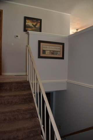 527 Devonshire St, Dixon, IL 61021 photo 12
