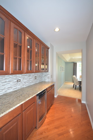 26302 Mapleview Dr, Plainfield, IL 60585 photo 8