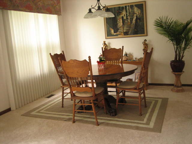13479 S Silverleaf Rd, Plainfield, IL 60544 photo 5