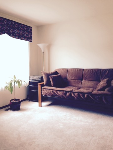 13479 S Silverleaf Rd, Plainfield, IL 60544 photo 7