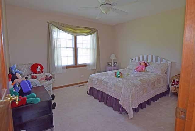 3510 Lakeview Dr, Algonquin, IL 60102 photo 19