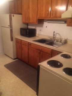 501 E Prospect Ave #3M, Mount Prospect, IL 60056 photo 7